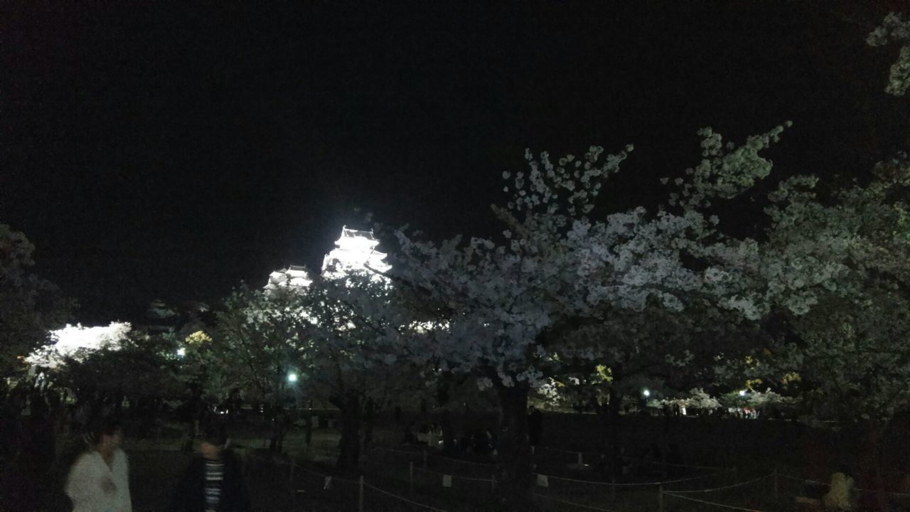 dc040213姫路城.jpg