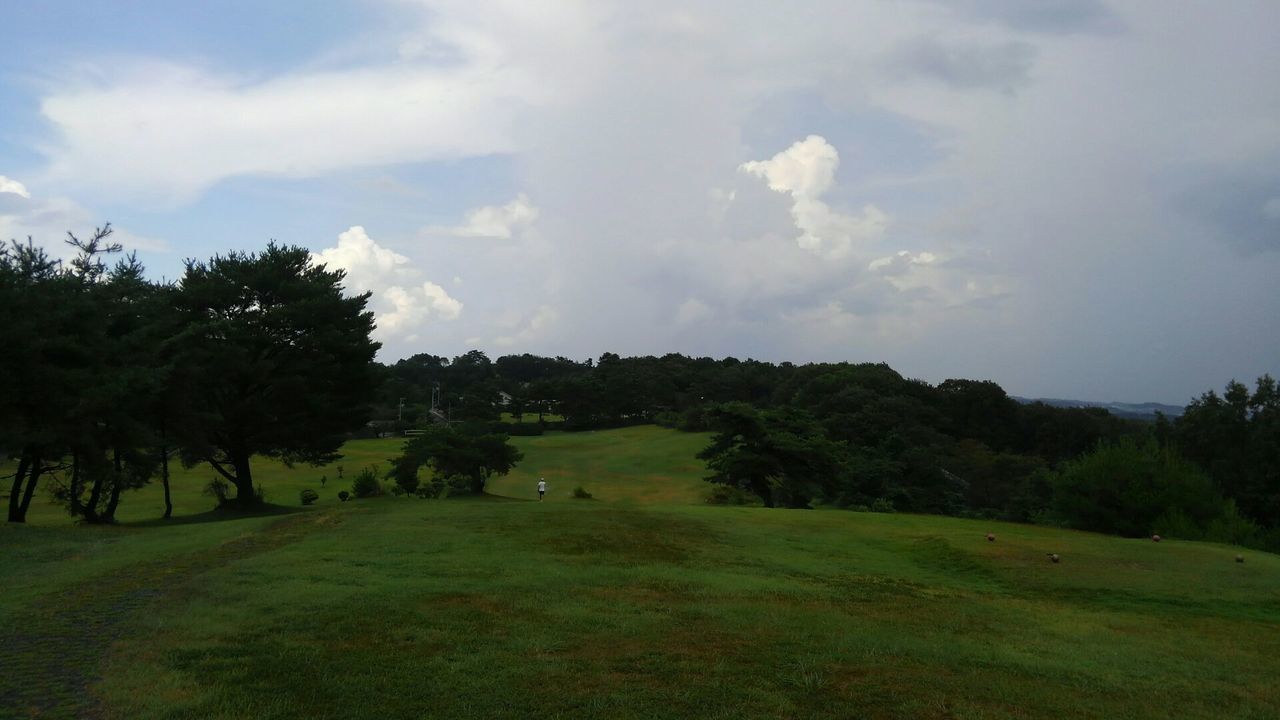dc081604仙養GC.jpg