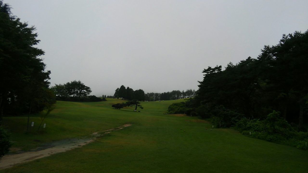 dc081803仙養GC.jpg