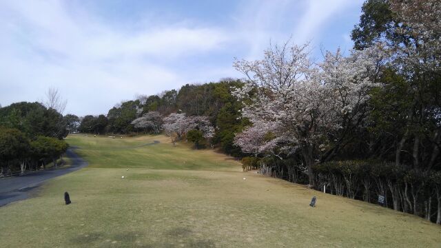 dc033004桜2021.jpg