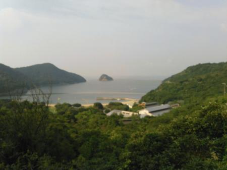 dc083128西島.jpg