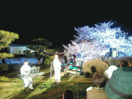  dc040706夜桜.jpg