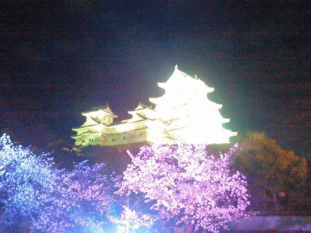 dc040703夜桜.jpg