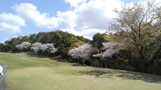 dc041003桜.jpg