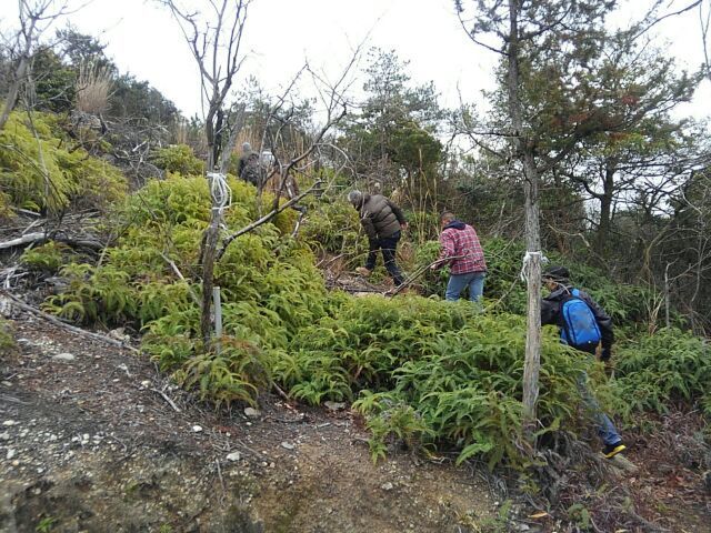 dc012310山登り.jpg