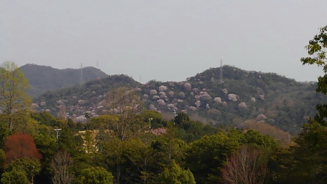 dc040206青山.jpg