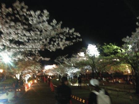 dc040708夜桜.jpg