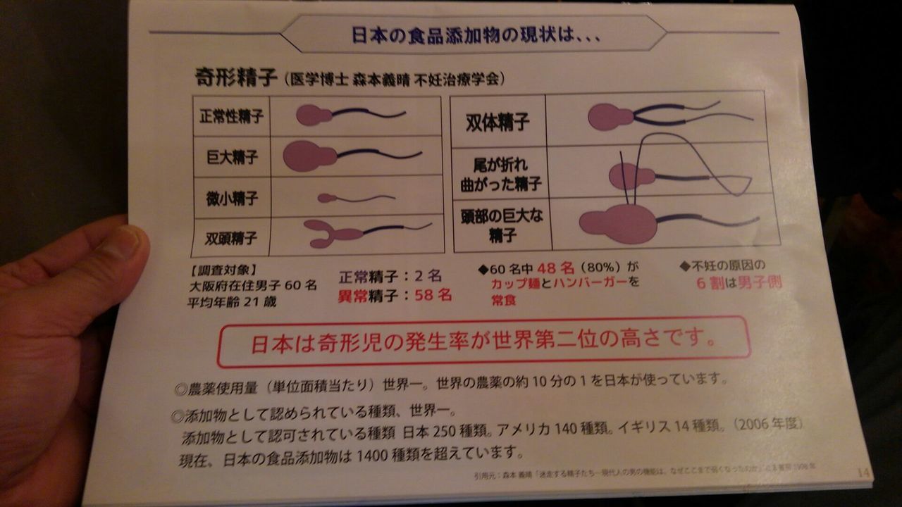 dc112908例会.jpg