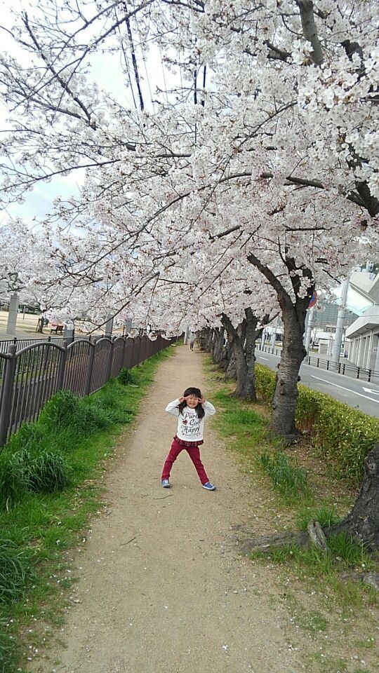 dc041001桜.jpg